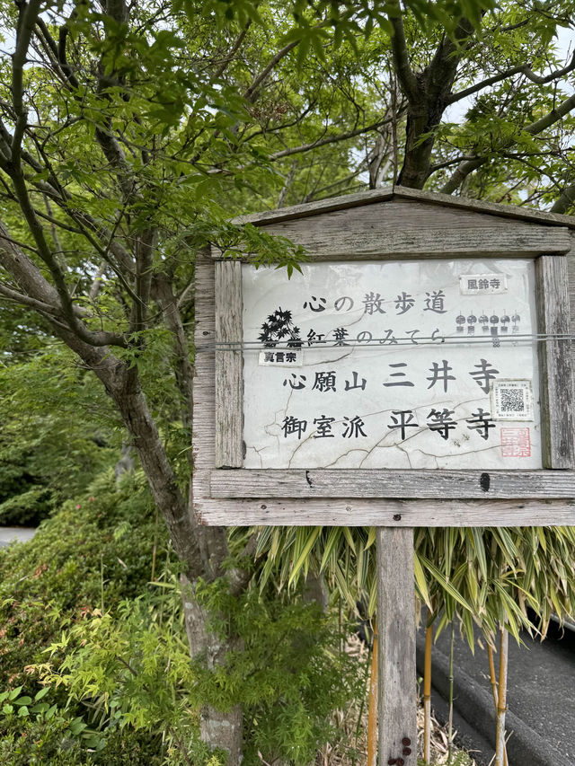 【福岡観光】涼しげな風鈴とシャボン玉が楽しめるお寺🎐