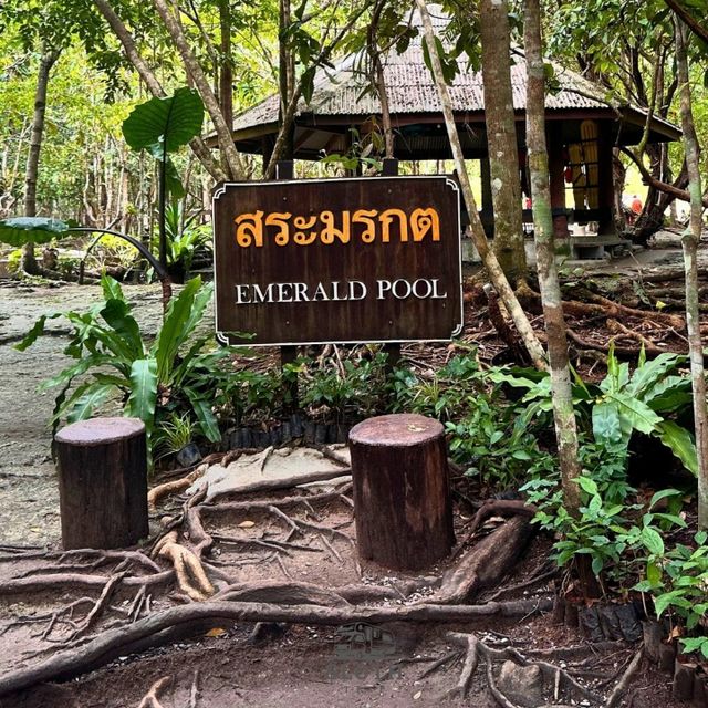🌊 EMERALD POOL สระมรกต