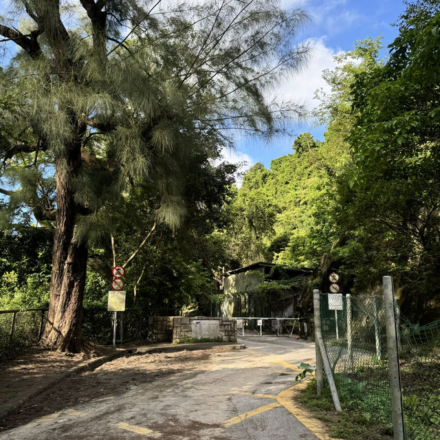 葵青區的城門水塘