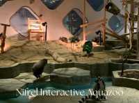 Nifrel Interactive Aquazoo