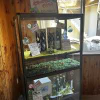 日本酒の博物館！『出羽ノ雪酒造資料館』🍶