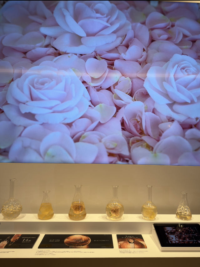 〜東京都〜可愛すぎるdiorポップ展