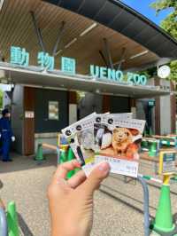 東京 | 漫遊東京市內動物園 適合⼀家大細嘅行程🐼