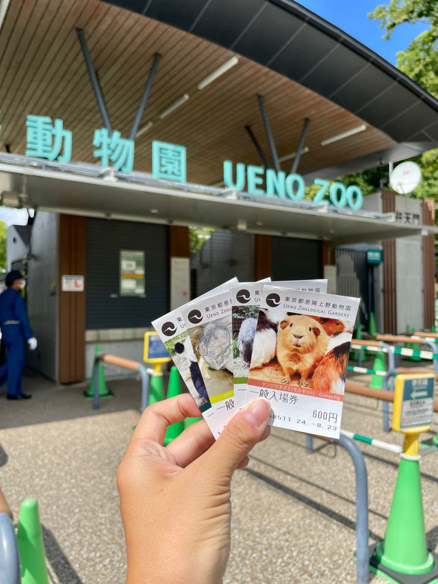 東京 | 漫遊東京市內動物園 適合⼀家大細嘅行程🐼