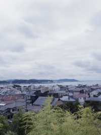 鎌倉三大賞花勝地：長谷寺的繡球花小路