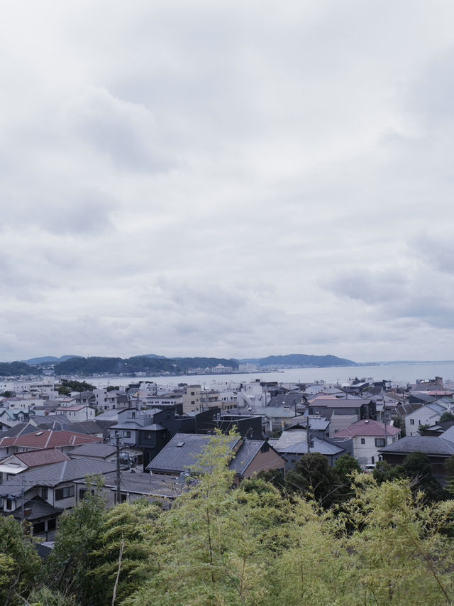 鎌倉三大賞花勝地：長谷寺的繡球花小路