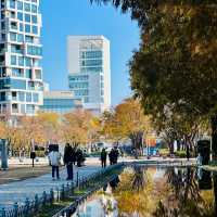 Top 5 Photo Spots in Seongsu