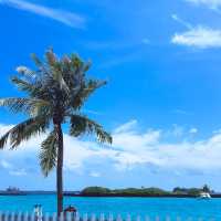 ทริป Maldives 4 วัน 3 คืน กับ Fly AirAsia 