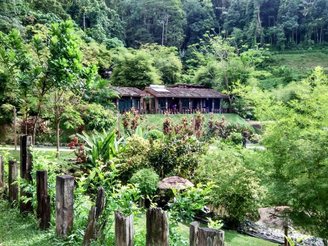 Thrilling Adventure in Gopeng: White Water Rafting and Rainforest Retreat