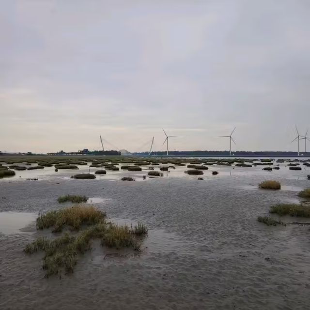 From Markets to Wetlands: A Taste of Taichung in a Day