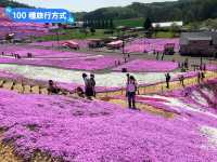 日本北海道-宛如粉紅色地毯的芝櫻花海：東藻琴 芝櫻公園