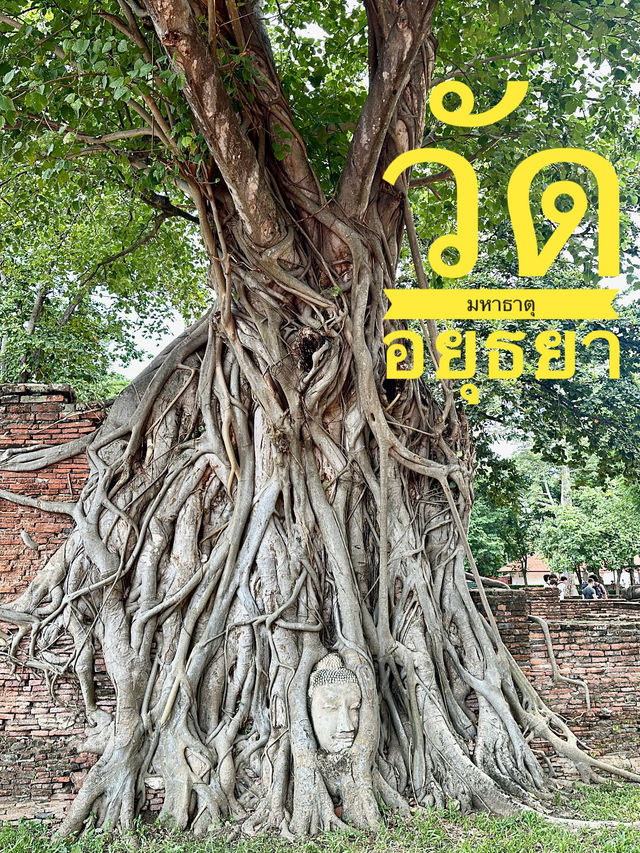 วัดมหาธาตุ พระนครศรีอยุธยา🙏🏻
