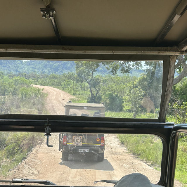 Kruger Safari: Wild Adventures and Epic Encounters
