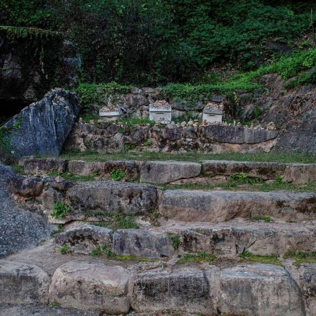 모든것이 조화로운