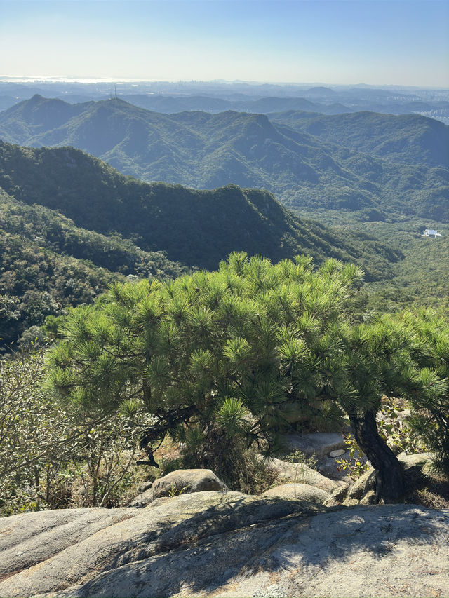 Get your cardio up at Gwanaksan mountain trail!