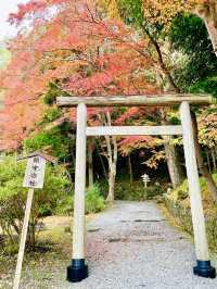 【京都府】パワフルな磐座が目前
