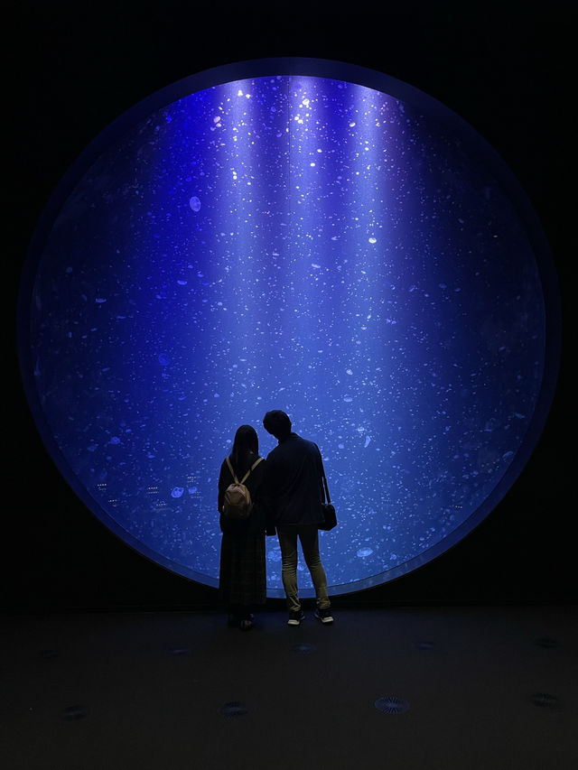 📍加茂水族館