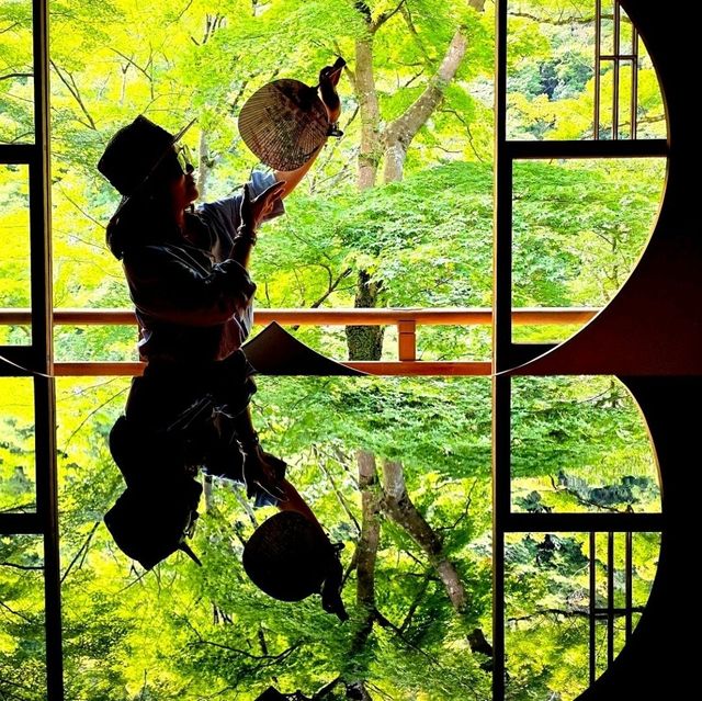 嵐山中的水鏡光影世界