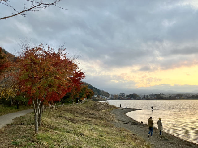 河口湖紅葉季