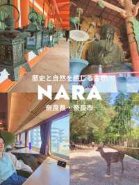【歴史と自然を感じる古都🍁奈良旅🦌】