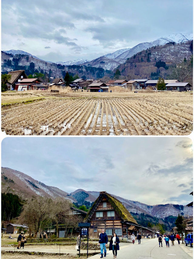 【日本飛騨】白川郷合掌村：世界遺產，獨特的合掌造建築風格