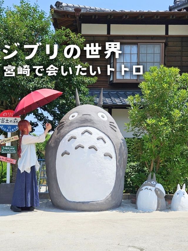 【宮崎】リアルジブリの世界『富土のトトロ』⁡⁡