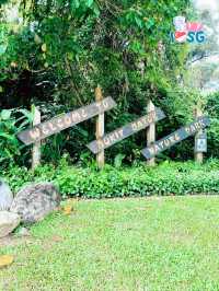🇸🇬 Berry welcome to Bukit Batok Nature Park