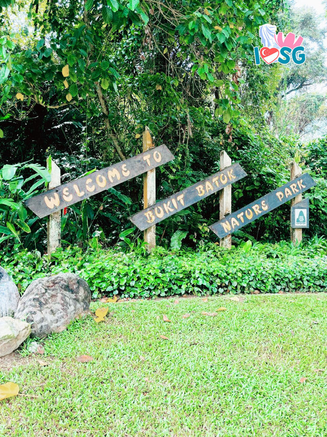 🇸🇬 Berry welcome to Bukit Batok Nature Park