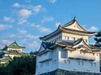 🏯名古屋城：歷史與壯麗的古代城堡之旅