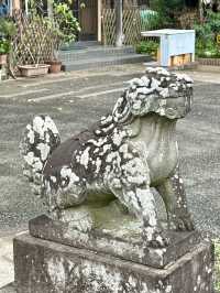 【東京都】プランターがたくさん置いてある神社
