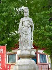 【埼玉県】秋の八角円堂前は銀杏の実が凄い！