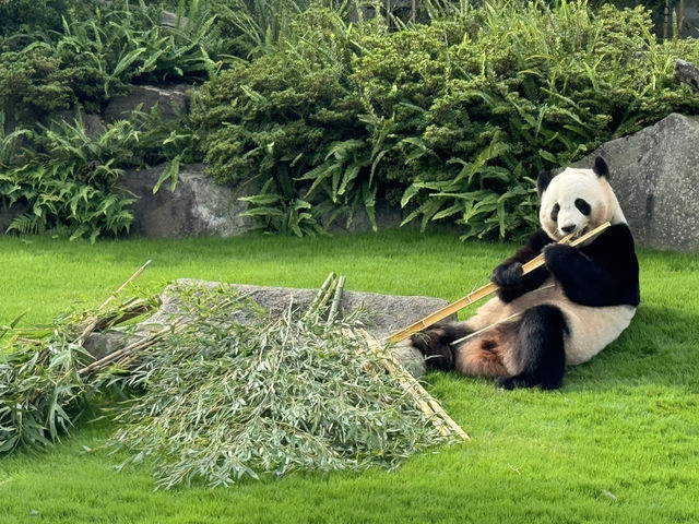 白濱動物園❤️親子遊必去景點
