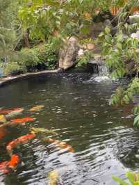 คาเฟ่สไตล์ญี่ปุ่น ย่านคู้บอน จุดเช็คอินที่ห้ามพลาด