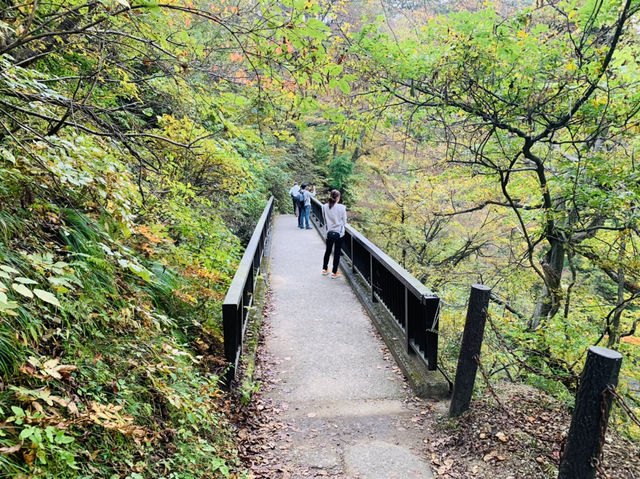 鳴子峡遊歩道