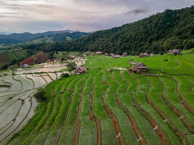 นาขั้นบันไดป่าบงเปียง เชียงใหม่🌾🌿