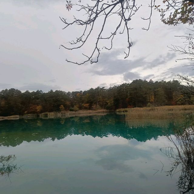 日本/東北/日本九寨溝~五色沼 賞楓的好地方~風景很美