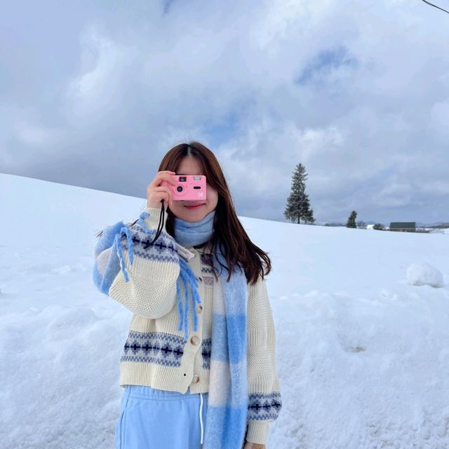 비에이 크리스마스나무 🌲 에서 인생샷 건지기 📷