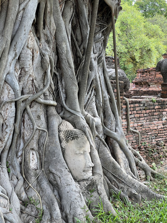 📍 อยุธยา เมืองมรดกโลก ที่เที่ยวใกล้กรุงเทพฯ 🏛️