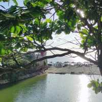 Enjoying Dreamland Beach