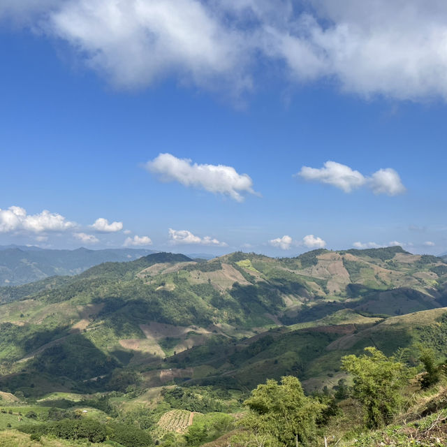 รีวิวคาเฟ่ Abonzo Paradise ดอยช้าง ⛰️🐘