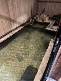 【鹿児島】良質天然温泉♨️囲炉裏のある温泉旅館✨