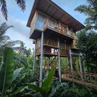 A Serene Escape at Baan Rai I Arun