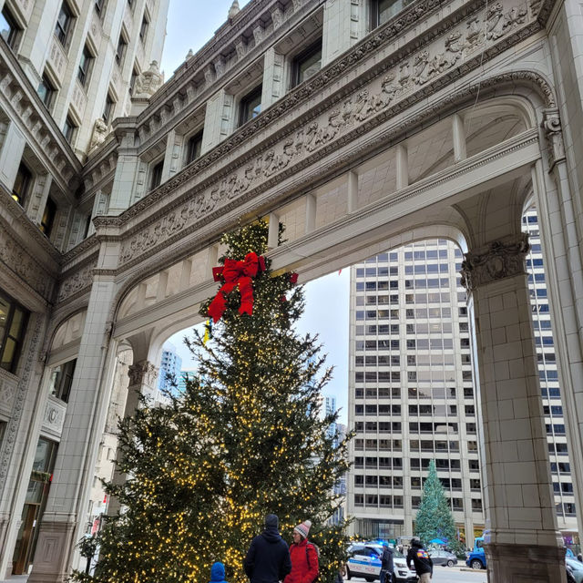 🎄シカゴでクリスマスを満喫！🎅✨