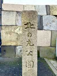 東京　東京観光　桜の名所　北の丸公園に行ってきたぞ！