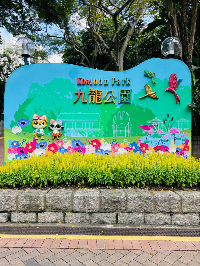 香港観光🇭🇰都会のオアシス🌿 九龍公園🦩✨