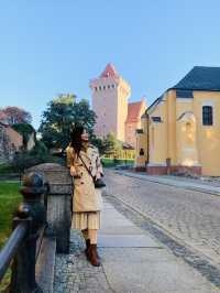 Royal Grandeur: Exploring Poznań's Historic Castle