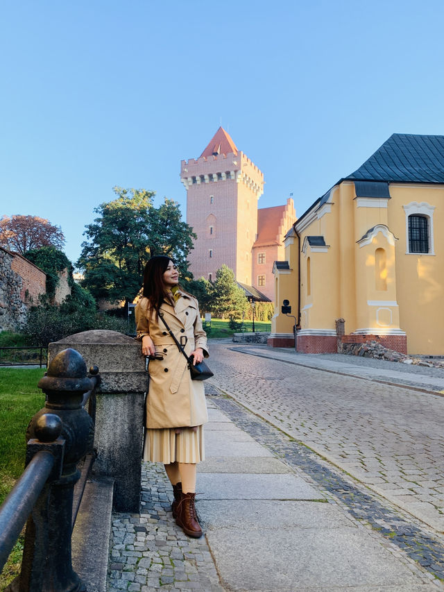 Royal Grandeur: Exploring Poznań's Historic Castle