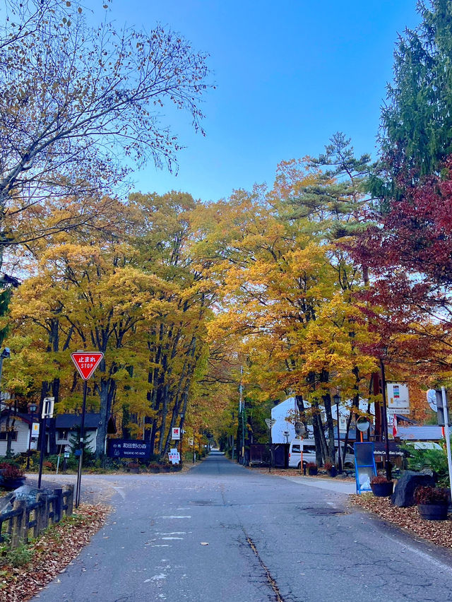 【長野】白馬カナディアンロッジ✨