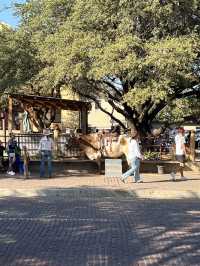 ［沃斯堡旅遊］Stockyards Station-你不想錯過的牛仔小鎮🤠