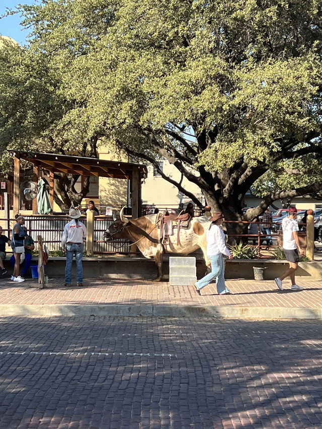 ［沃斯堡旅遊］Stockyards Station-你不想錯過的牛仔小鎮🤠